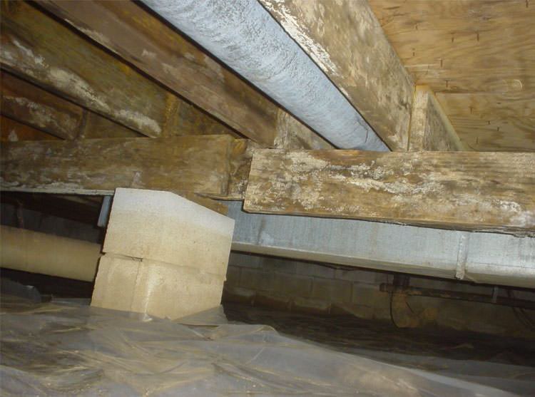 poor crawl space supports lg