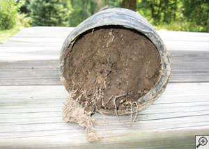 clogged french drain found in Oldtown, Idaho and Washington